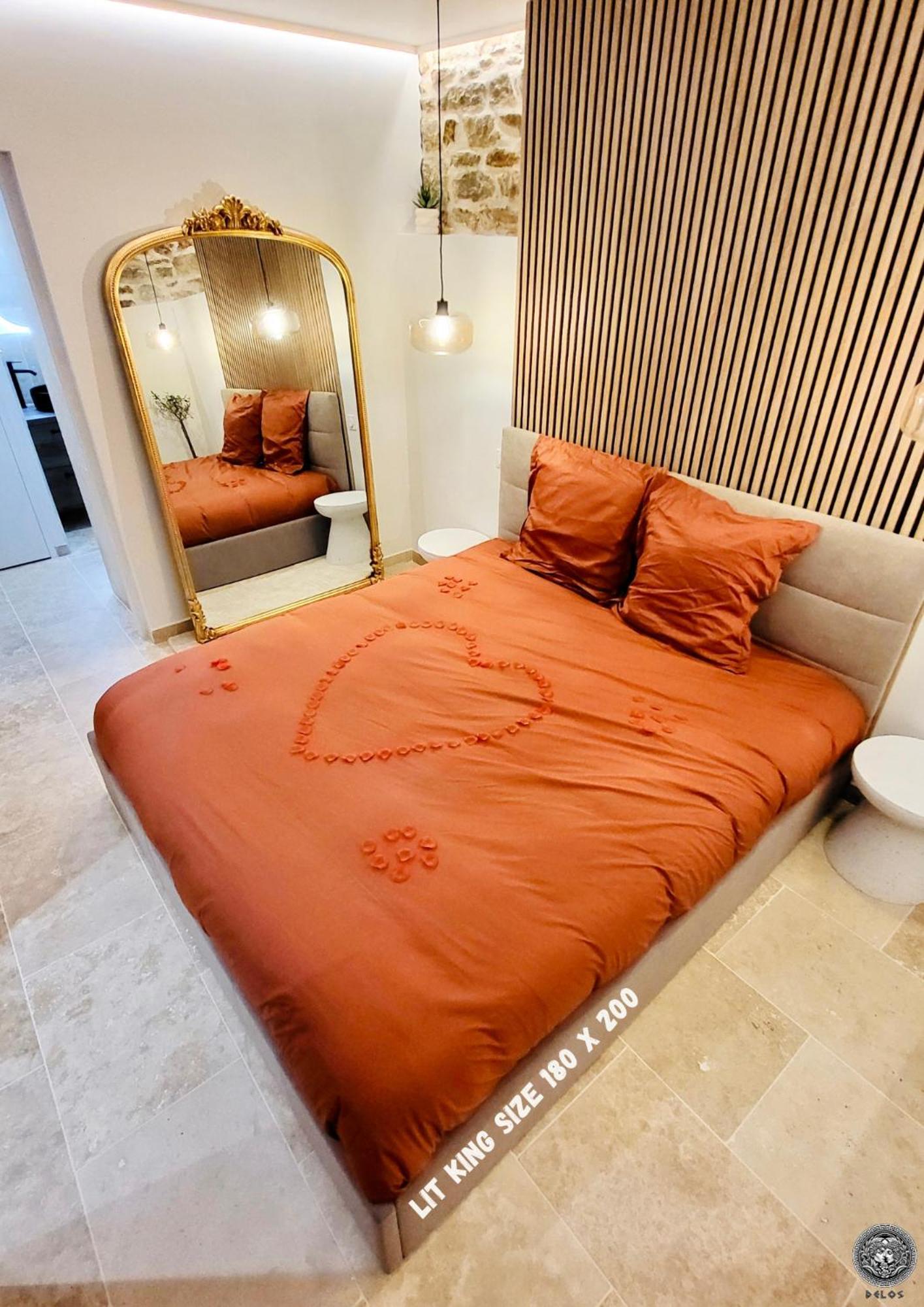 - La Delos - Jacuzzi 2 Places - Centre A Pied - Lit Queen Size - Parking Privee - Wifi - Center Within Walking Distance - Apartment *